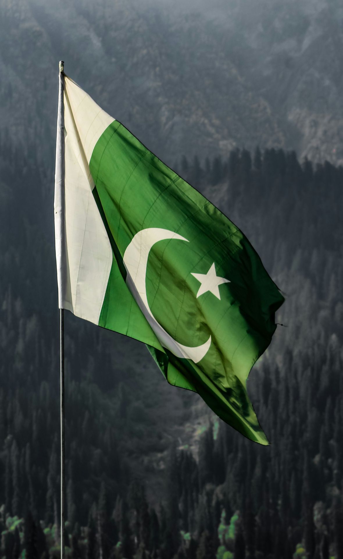 PakPedia functions as a collaborative civic infrastructure project — merging content, data, and tools: •	Constitution Explorer: Explains every article, clause, and amendment with historical context and case references. •	Law & Local Governance Finder: Shows district-specific data such as police jurisdictions, local councils, and provincial laws. •	Community Hub: Hosts digital civic apps and crisis tools for real-world use, from disaster mapping to household planning. •	Research & Insights: Publishes studies, visual timelines, and case analyses connecting legal updates to public impact. Together, these components form a single ecosystem of civic literacy and open data.